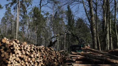 Če je po eni strani veliko govora o skoraj obvezni gospodarski rasti, ko pride recesija, pa nastane cela drama, na drugi strani ne moremo govoriti, da bomo imeli manj izpustov, je pojasnil vodja oddelka za prirastoslovje in gojenje gozdov na Gozdarskem inštitutu Slovenije Tom Levanič. Foto: Luka Cjuha 