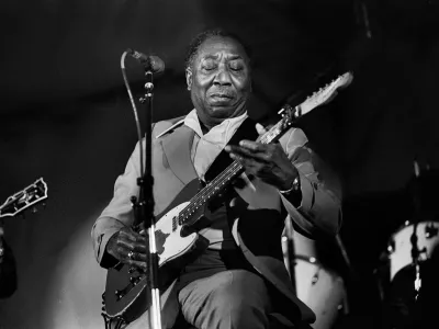 Muddy Waters. F Getty Images)
