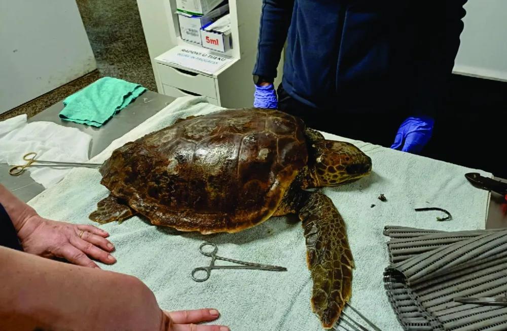 Foto: družina Poličnik/Aquarium Pula