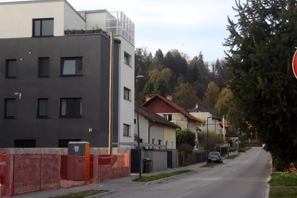 Mestna občina Ljubljana je v Rožni dolini razprodala vsa javna zemljišča, zato danes ne more zgraditi nobene javne institucije. / Foto: Bojan Velikonja