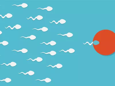 Slika je ilustrativna. / Foto: Istock