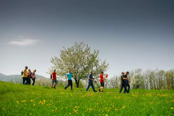 Tradicionalni pohod na Javorovico.- Praznik dela - 1.maj 2013 - Javorovica - Šentjernej - slovesnost v počastitev praznika dela, dneva upora proti okupatorju, obletnice vstopa Slovenije v EU ter spomina na padle borce 4. bataljona Cankarjeve brigade//FOTO: Bojan Velikonja