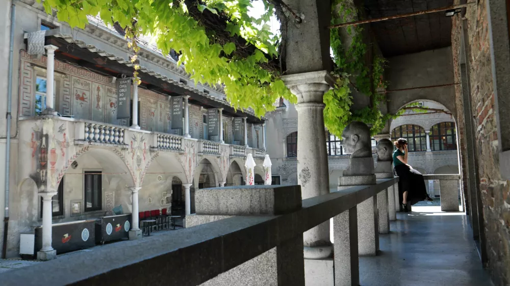 Predstavniki srednje šole za oblikovanje in fotografijo ministra Vinka Logaja prosijo, naj zaščiti interese šole in prepreči prodajo solastniškega deleža države v Križankah. Foto: Tomaž Skale