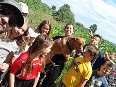  V četrtek 3. julija bodo mladi obiskali ljubljansko Zavetišče in skozi voden ogled dobili vpogled v delo z zapuščenimi živalmi. F Mladi zmaji