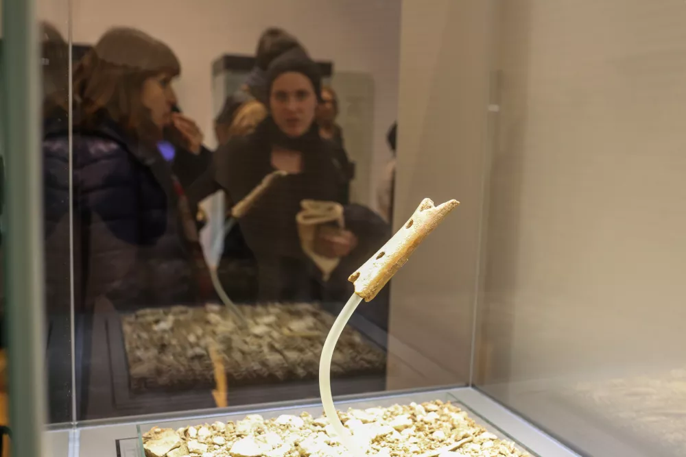 Originalno piščal si je mogoče ogledati v Narodnem muzeju Slovenije. Foto: Bojan Velikonja