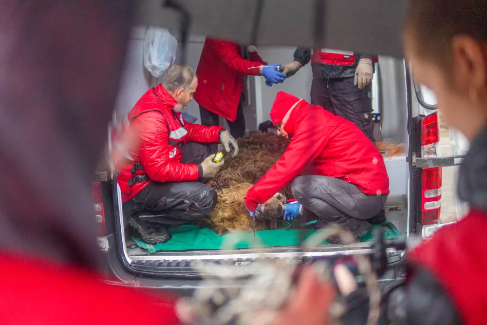 Ekipa, ki je spremljala našega Felixa na poti v Avstrijo.. F Four Paws