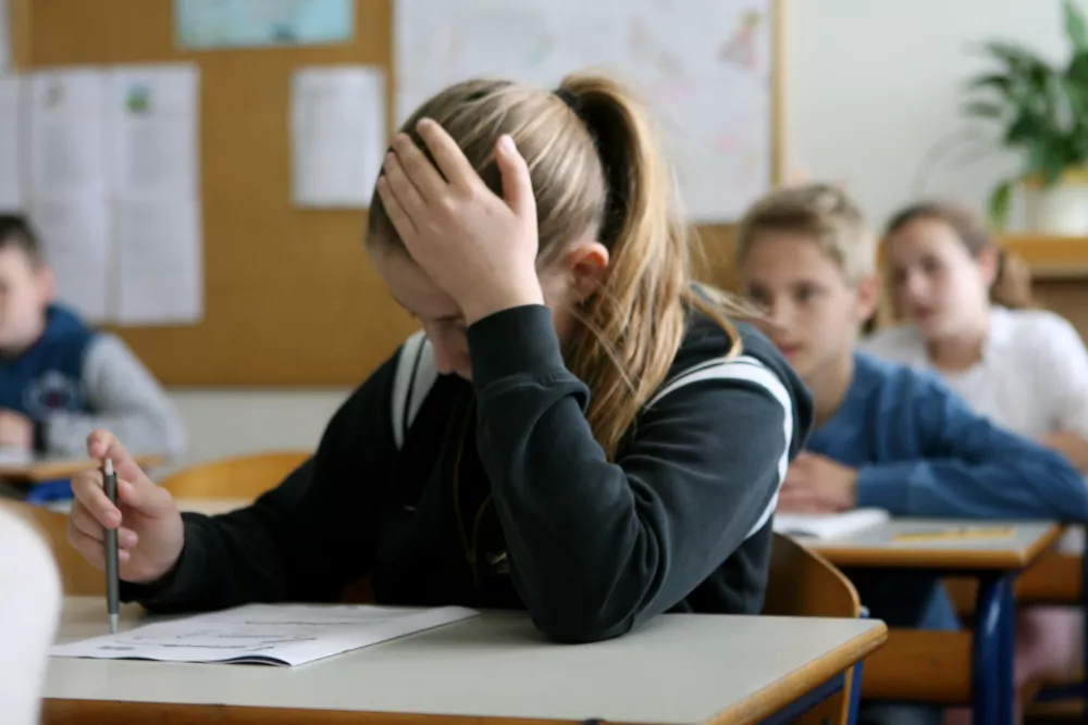 Učenci bodo lahko do ovrednotenih preizkusov znanja dostopali s svojo šifro in številko EMŠO. Fotografija je simbolična. Foto: Tomaž Skale 