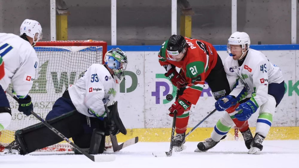 Lukaš Horak, Slovenija 