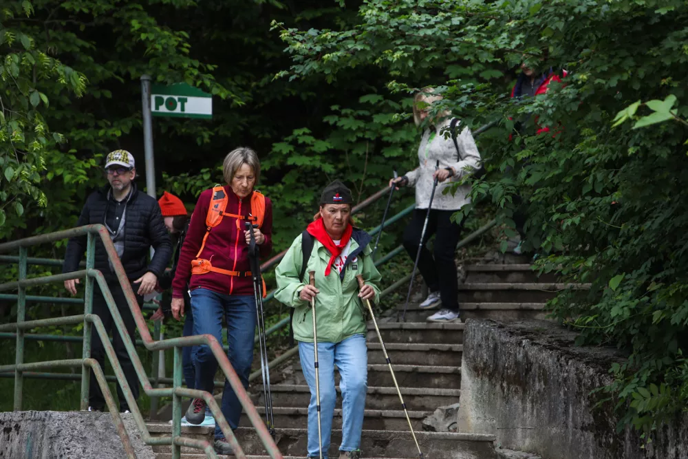 - 10.05.2025. Pot ob žici. Foto: Bojan Velikonja 