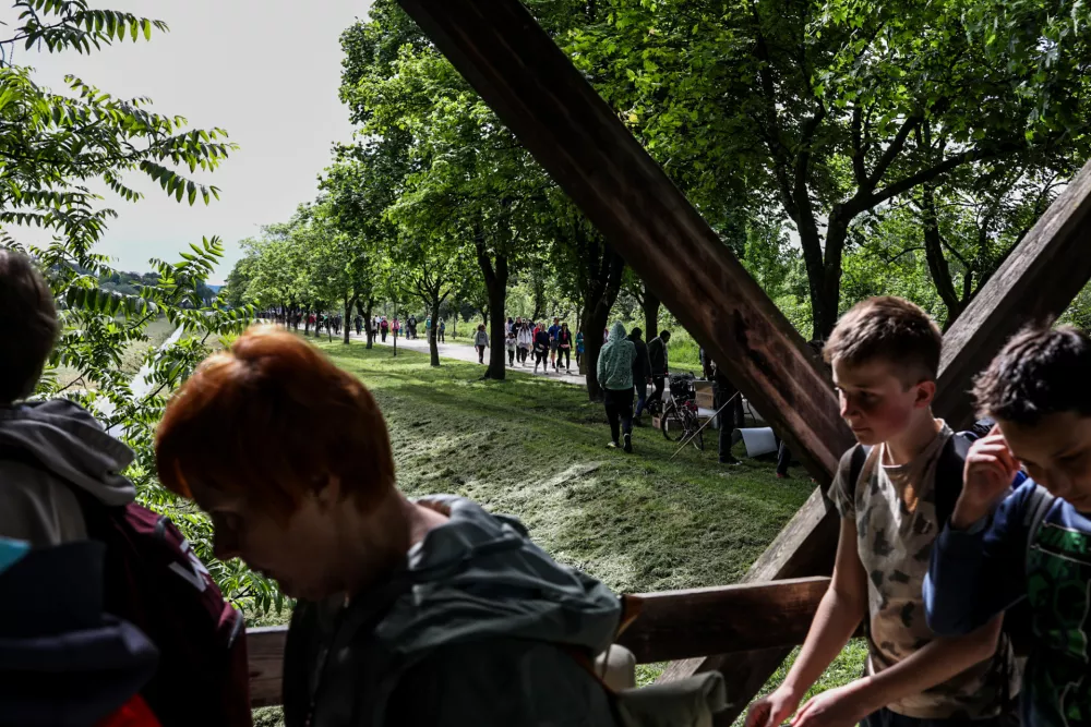 - 10.05.2025. Pot ob žici. Foto: Bojan Velikonja 