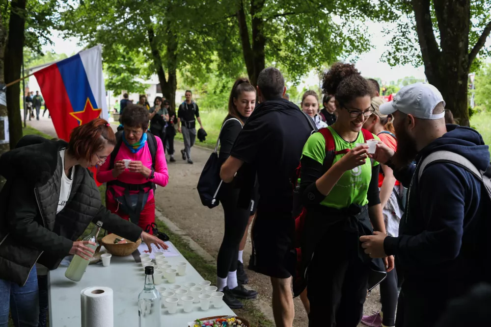 - 10.05.2025. Pot ob žici. Foto: Bojan Velikonja 