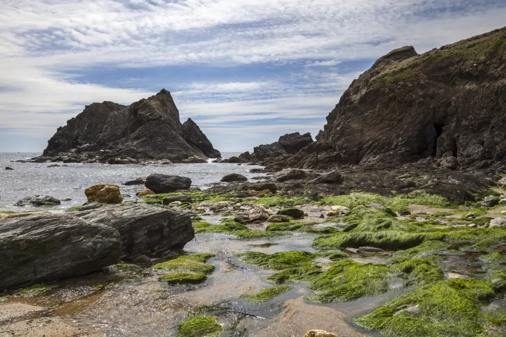Plaža Soar Mill Cove v bližini Salcombea v južnem Devonu uvršča med najlepše v Združenem kraljestvu. F iStock