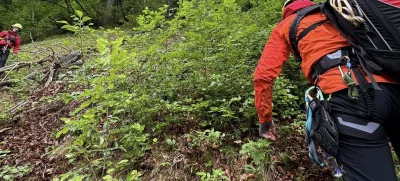 gorska nesreča mala osojnica