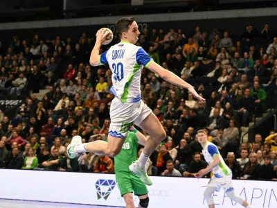 tim cokan, rokomet, slovenija, estonija