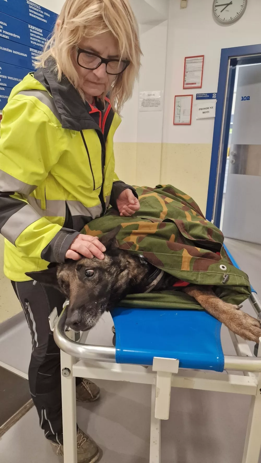 Lairyja so sprejeli na ljubljanski kliniki za male živali. Foto: K9 iskanje pogrešanih