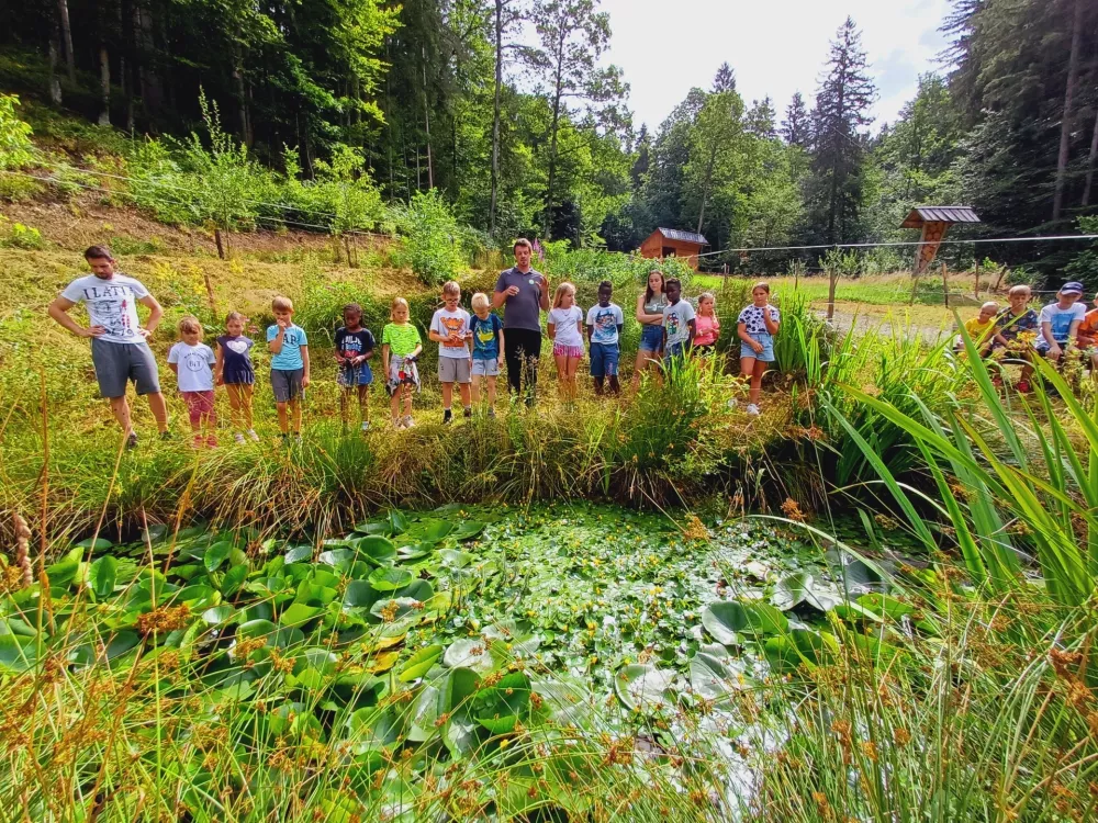 Tudi letos bodo otroci lahko med drugim uživali na ekološki učni kmetiji Kršinar. Foto: Tina Jereb