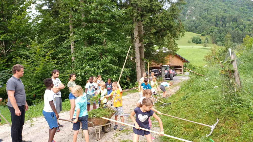 Zaradi velikega zanimanja so letos še razširili programe poletnega počitniškega varstva za otroke. Foto: Tina Jereb