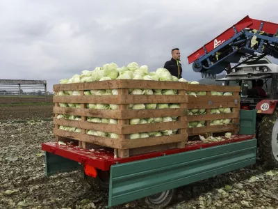 Po ocenah mnogih so k prodaji izdelkov pod nabavnimi cenami v veliki meri pripomogli razvpiti popisi cen hrane v državi. Fotografija je simbolična. Foto: Jaka Gasar