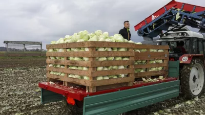 Po ocenah mnogih so k prodaji izdelkov pod nabavnimi cenami v veliki meri pripomogli razvpiti popisi cen hrane v državi. Fotografija je simbolična. Foto: Jaka Gasar
