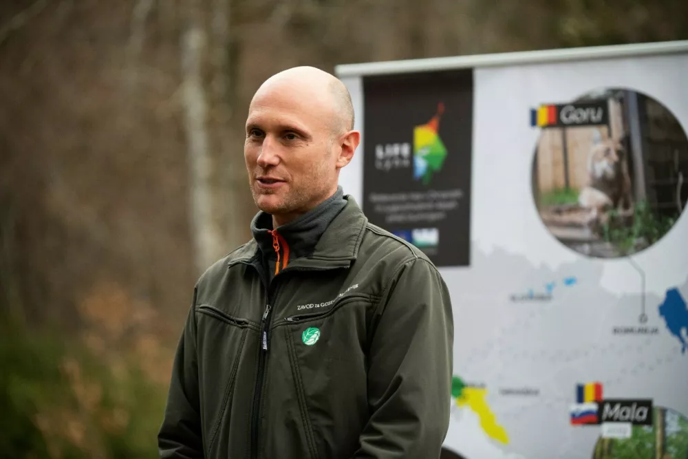 Rok Černe, koordinator projekta LIFE Lynx / Foto: Life Lynx