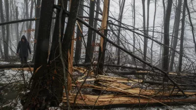 Stanje v gozdovih je boljše, kot so sprva kazali podatki iz gozdnih inventur za obdobje 2012–2018, je pojasnil Primož Simončič, raziskovalec na Gozdarskem inštitutu Slovenije, ki ga je v preteklosti tudi vodil. Fotografija je simbolična.
Foto: Luka Cjuha