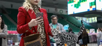 18.05.2025 - razstava mačk Hala tivoliFoto: Luka Cjuha