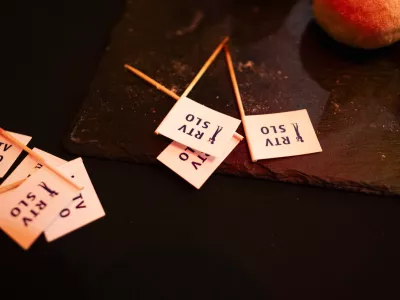 RTV Slovenija - simbolična fotografija10.02.2025 Dogodek Televizije Slovenija s predstavitvijo novih televizijskih obrazov in prikazom prizorov novih vsebin, RTV SlovenijaFOTO: Nik Erik Neubauer