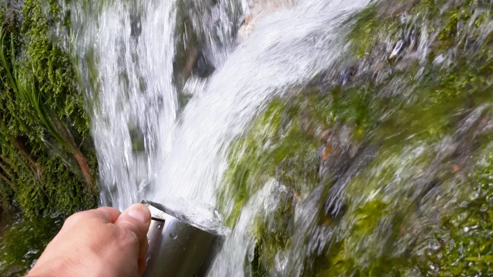 voda kozarec skodelica kamniška bistrica 