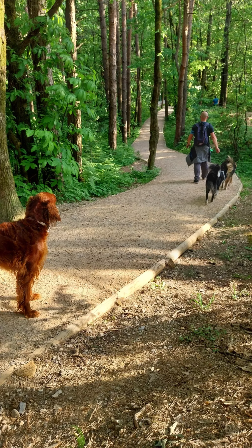 Učna pot poteka na PST in je zato tudi varna za družine. Foto: Vesna Levičnik