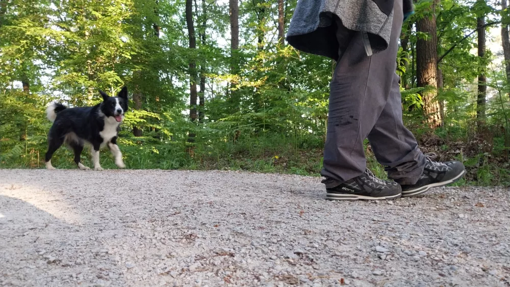 »Koliko čevljev je od enega do drugega štora?« se bere vprašanje na eni od točk. Namig: od osem do deset. Foto: Vesna Levičnik