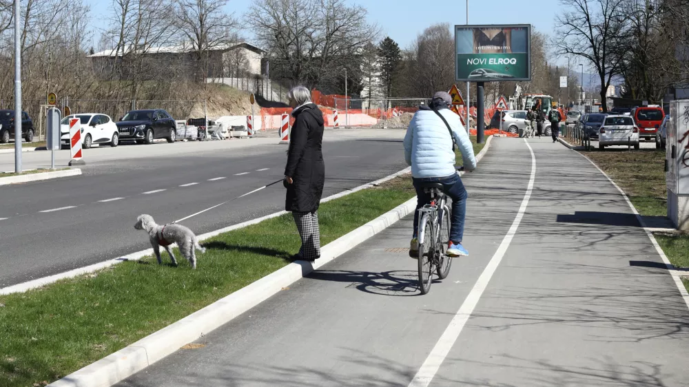 19.3.2025 - Linhartova cesta, kolesarska steza, kolesarFoto: Luka Cjuha