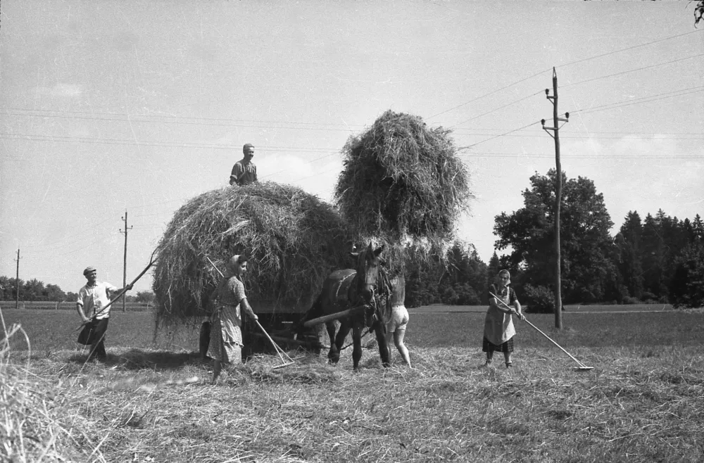 Junij je most med pomladjo in poletjem