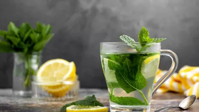 Mint tea with fresh mint leaves in glass cup, alternative medicine concept, healthy warm drink. / Foto: Gingagi