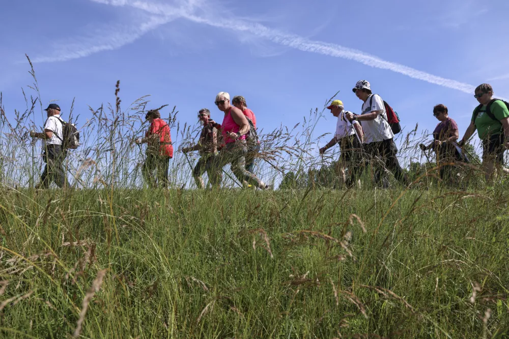 - 25. 05. 2024 - Akcija Nedeljskega dnevnika - dan nordijske hoje v Čatežu  //FOTO: Jaka Gasar / Foto: Jaka Gasar