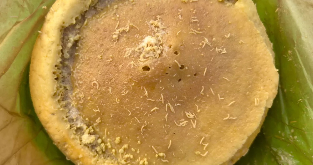 Casu martzu / Foto: Ivan Canavera