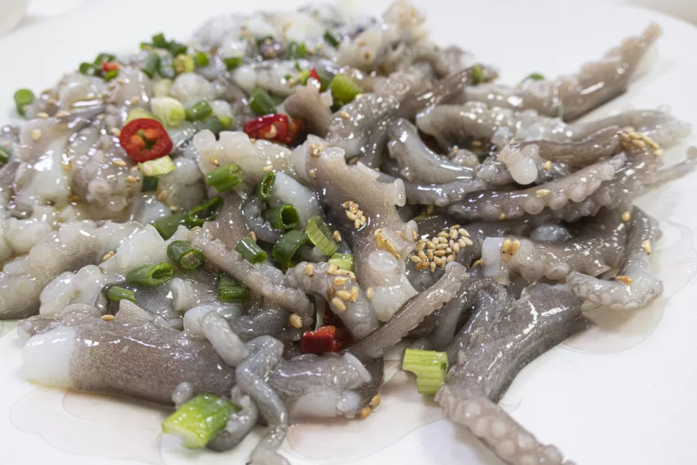 Sanakdži oziroma živa hobotnica / Foto: Istock