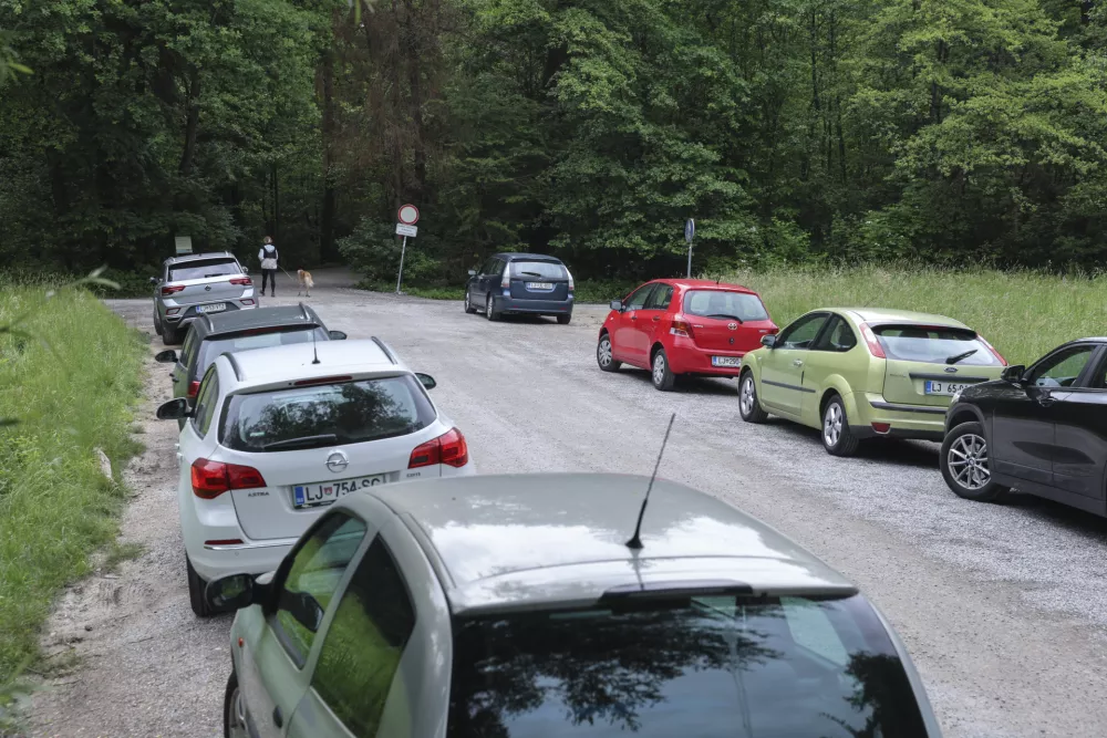 Vstopna točka v park je načrtovana na območju Kosez in živalskega vrta. Do takrat pa bodo avtomobili verjetno še naprej parkirani kar ob cesti. Foto: Jaka Gasar