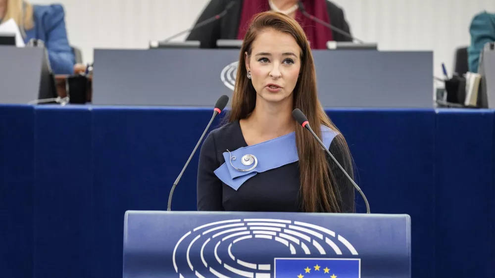 EP Plenary session - The need to enforce the Digital Services Act to protect democracy on social media platforms against foreign interference and biased algorithms