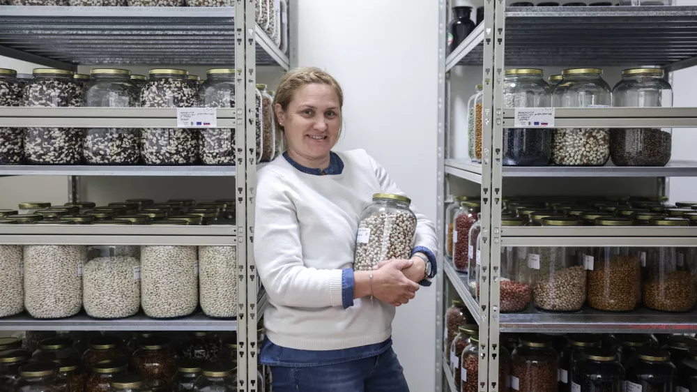 - 22.05.2025 - Maja Kolar- strokovnjakinja za biodinamiko in vzgojo avtohtonih ekoloških semen//FOTO: Jaka Gasar