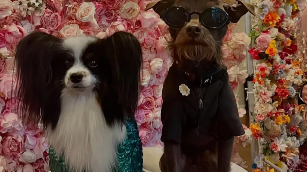 Jk s pasjim prijateljemj Bastian na Pet Gali, oblečena v obleke, navdihnjene z oblekami Malume in Bad Bunnyja z Met Gale. F IG/@anthonyrubio01