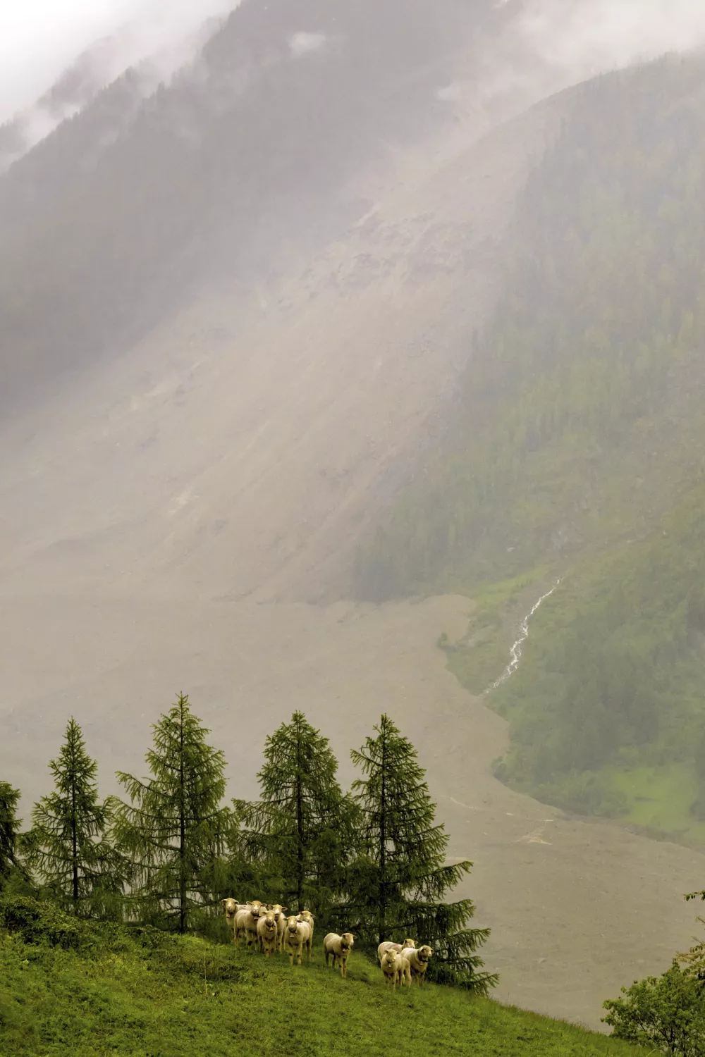 A large avalanche with a mixture of ice, rock, snow and water reach the valley floor is pictured in Wiler after the Birch glacier collapsing above Blatten, Switzerland, Wednesday, May 28, 2025. (Jean-Christophe Bott/Keystone via AP)