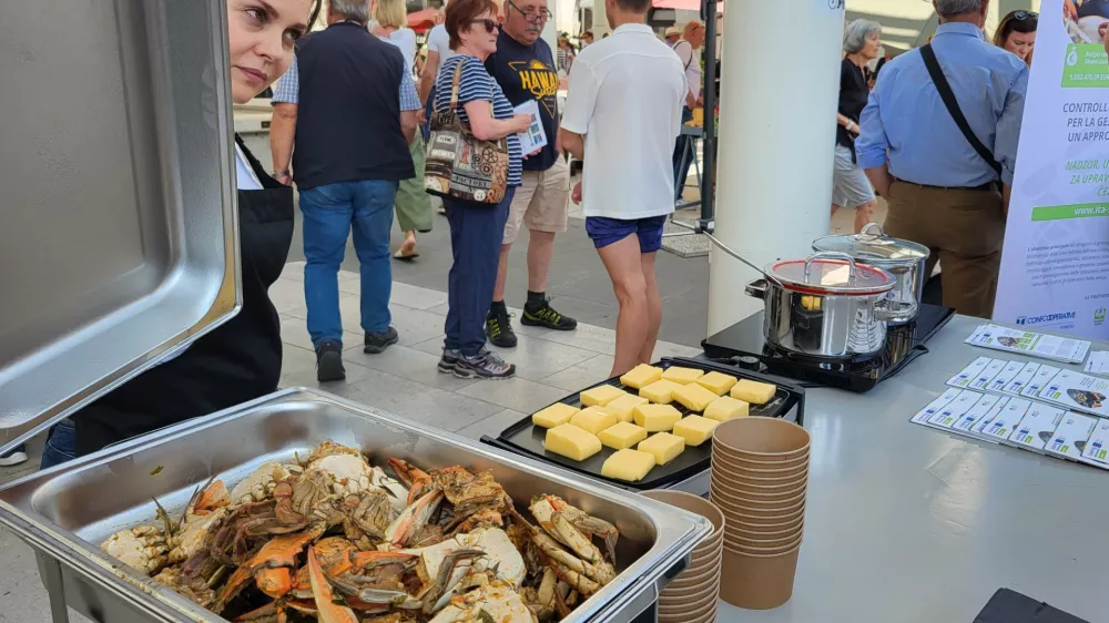 Modra rakovica, predstavitev kulinarike, koprska tržnica Koper / Foto: Katja Gleščič 