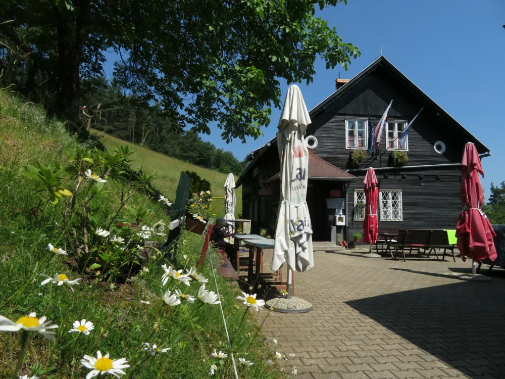 ﻿GOVEJEK PLANINSKA KOCA POLHOGRAJCI