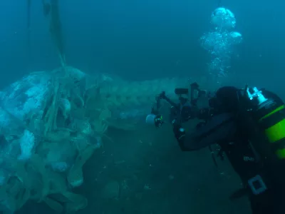 Skoraj nedotaknjena hrbtenica kita se nahaja pod mostom Porto San Rocco v občini Milje blizu Trsta.