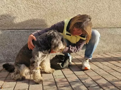 Vse se je končalo srečno.