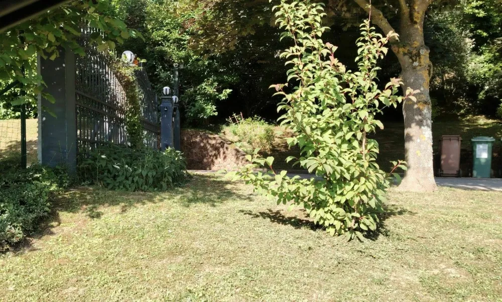 Umor in samomor Rogaška4. Foto: Mojca Marot