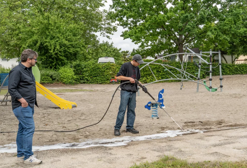 Tapinoma magnum, invazivna mravljaMravlje, črne mravlje, invazija mravelj, škodljivci, žuželkeFoto: Uradna stran mesta Kehl v Nemčiji