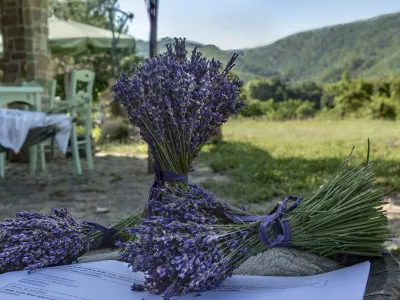 Zeliščni vrtovi in kmetije v Istri bodo ta konec tedna odprli svoja vrata. F Bojan Brada Kaspar
