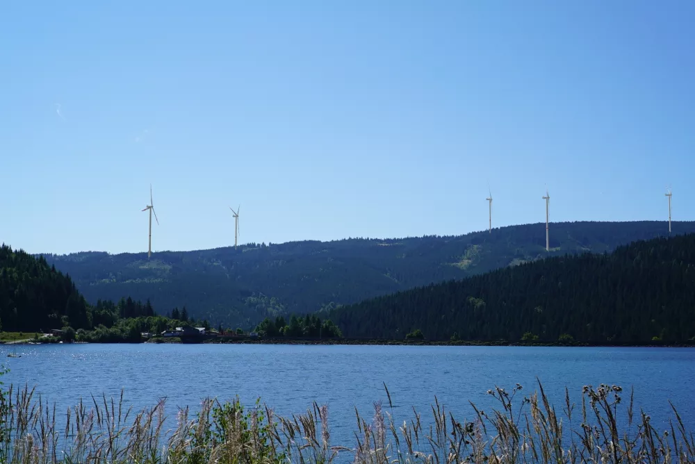 Nočno šuštenje, ki kočarja spravi v dobro voljo