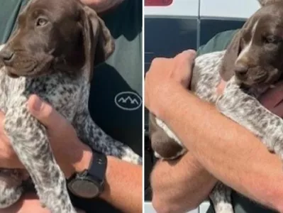 Gina in Gabi bosta zadolženi za iskanje tobaka in droge. 